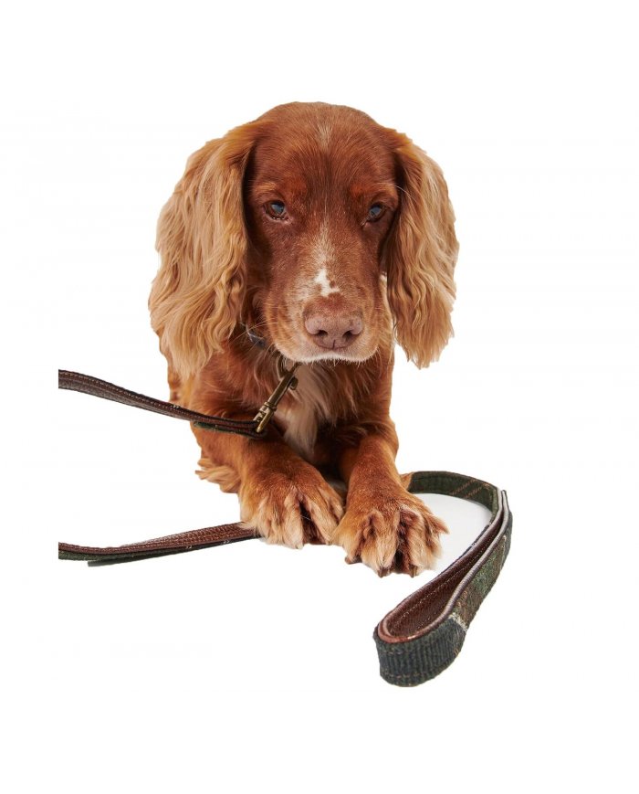 Guinzaglio Per Cani Barbour Tartan DAC0009