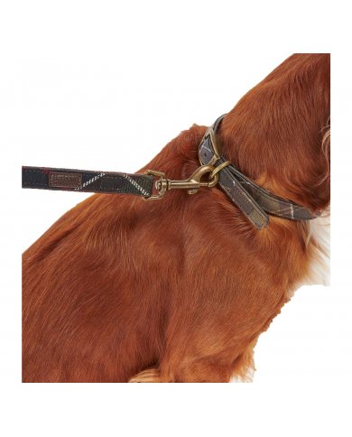 Guinzaglio Per Cani Barbour Tartan DAC0009
