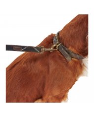 Guinzaglio Per Cani Barbour Tartan DAC0009