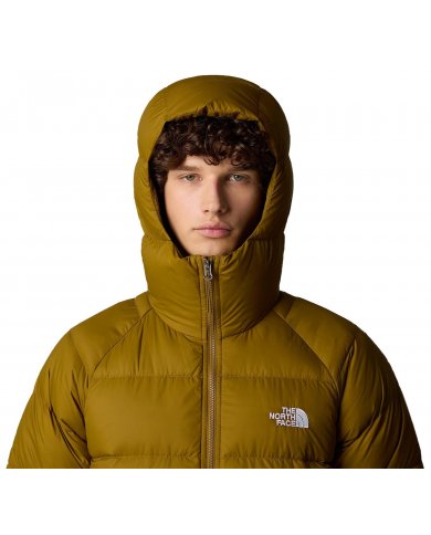 Piumino Uomo Tnf Hydrenalite Hoodie NF0A5GIE10B