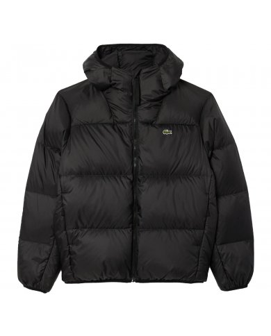 Piumino Uomo Lacoste Con Cappuccio BH2905