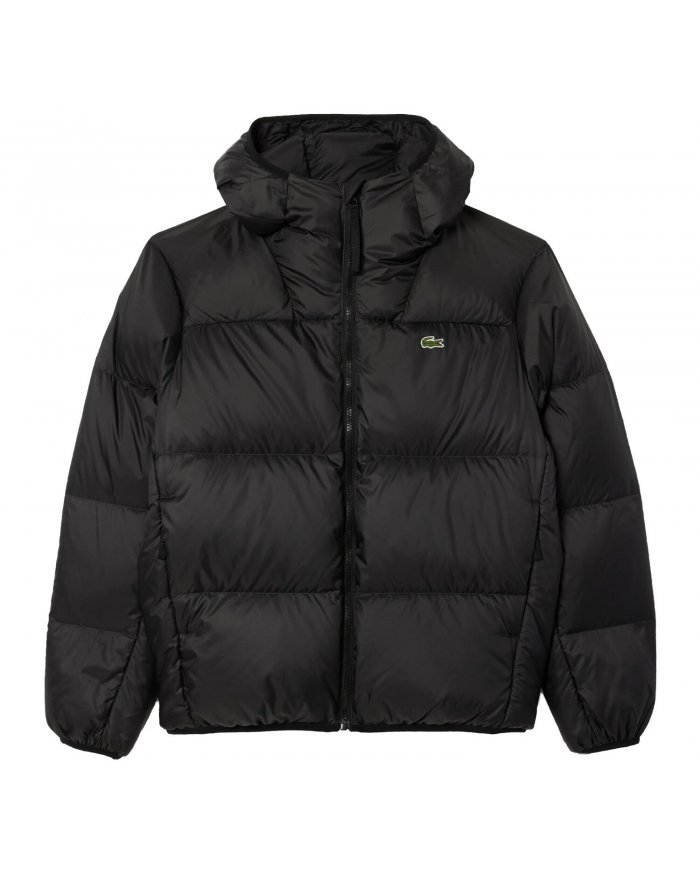 Piumino Uomo Lacoste Con Cappuccio BH2905 Piumino Uomo Lacoste Con Cappuccio BH2905