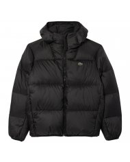 Piumino Uomo Lacoste Con Cappuccio BH2905 Piumino Uomo Lacoste Con Cappuccio BH2905
