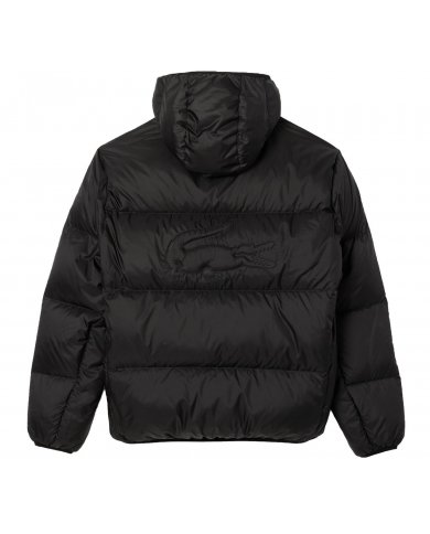 Piumino Uomo Lacoste Con Cappuccio BH2905