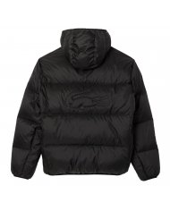 Piumino Uomo Lacoste Con Cappuccio BH2905 Piumino Uomo Lacoste Con Cappuccio BH2905