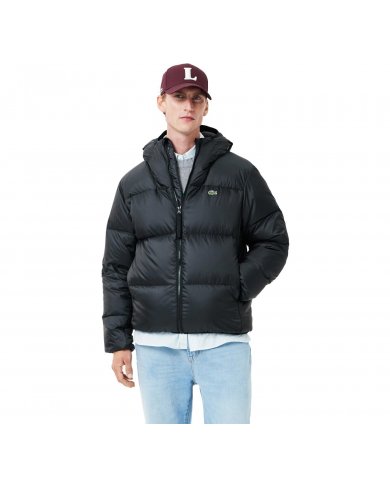 Piumino Uomo Lacoste Con Cappuccio BH2905