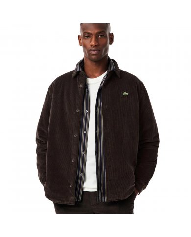 Camicia Over Uomo Lacoste CH3512