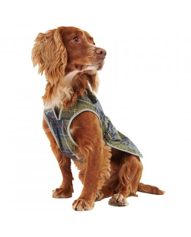 Cappotto Imperme. Cane Barbour Tartan DCO0012