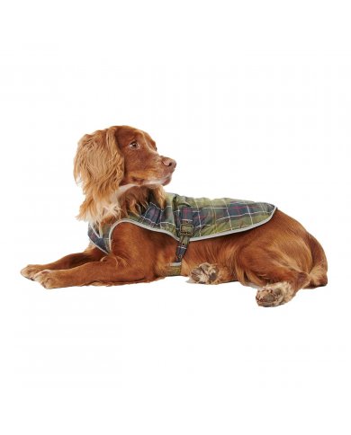 Cappotto Imperme. Cane Barbour Tartan DCO0012