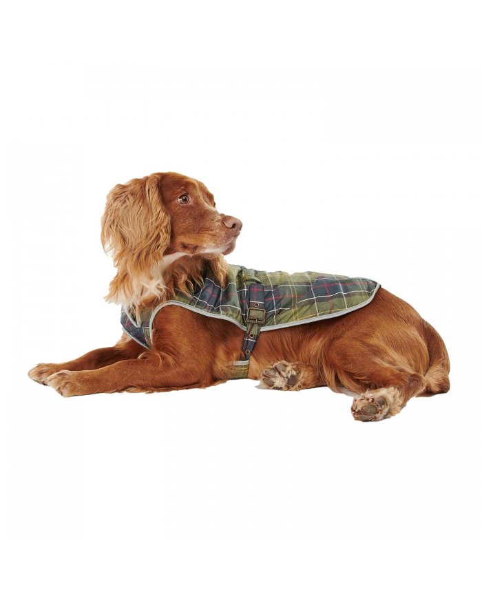 Cappotto Imperme. Cane Barbour Tartan DCO0012