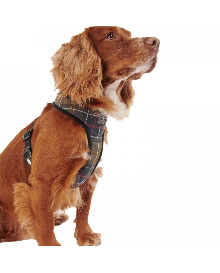 Pettorina Cane Barbour Tartan DAC0010