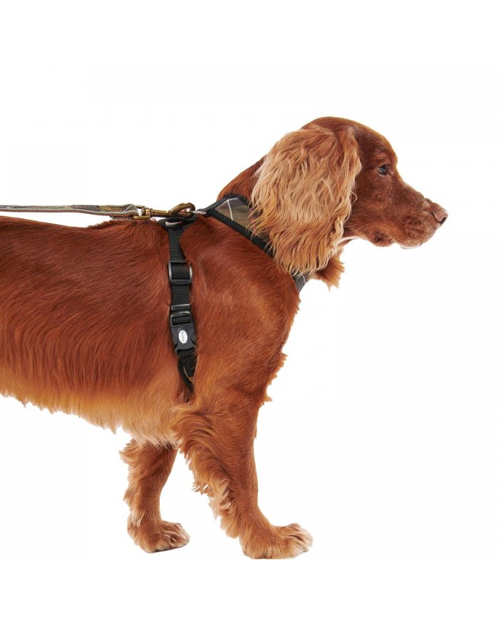 Pettorina Cane Barbour Tartan DAC0010