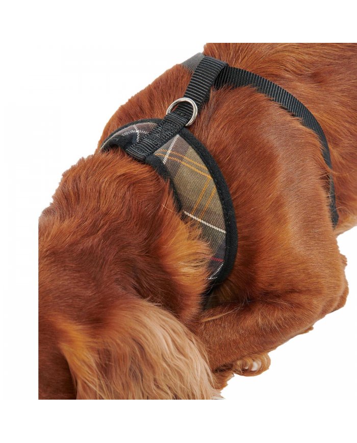Pettorina Cane Barbour Tartan DAC0010