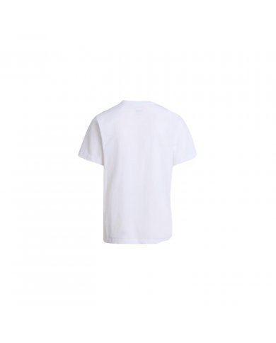 T-Shirt Uomo The North Face Evolution Simple Dome NF0A8CZ2FN4